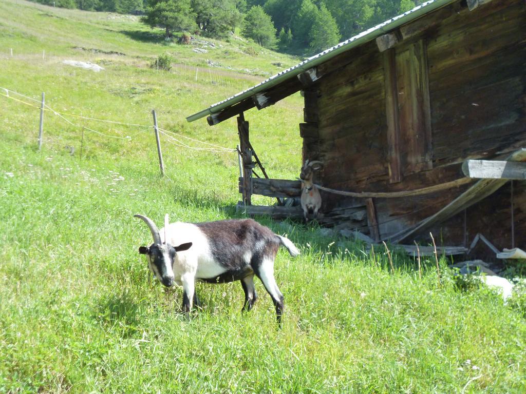 Ferienwohnung Allalinblick Saas-Fee Exterior photo