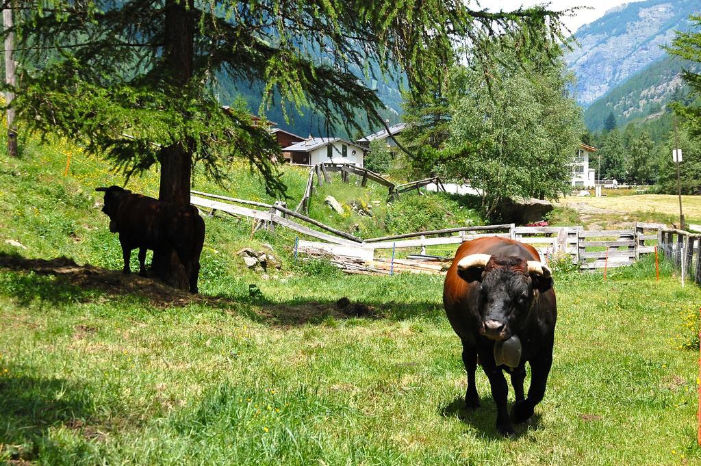 Ferienwohnung Allalinblick Saas-Fee Exterior photo